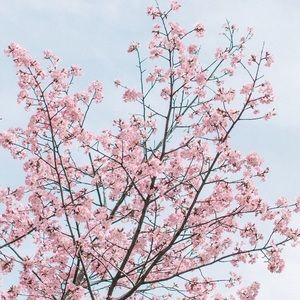 Meet your Posher, Hailey